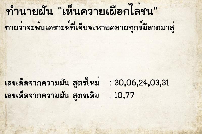 ทำนายฝันเห็นควายเผือกไล่ชน ทำนายฝันทำนายฝันเห็นควายเผือกไล่ชน