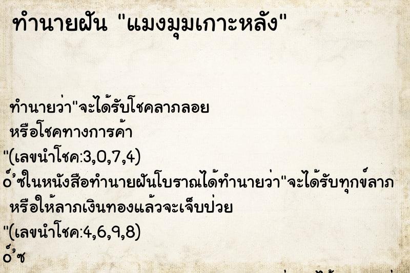 ทำนายฝันทำนายฝันแมงมุมเกาะหลัง