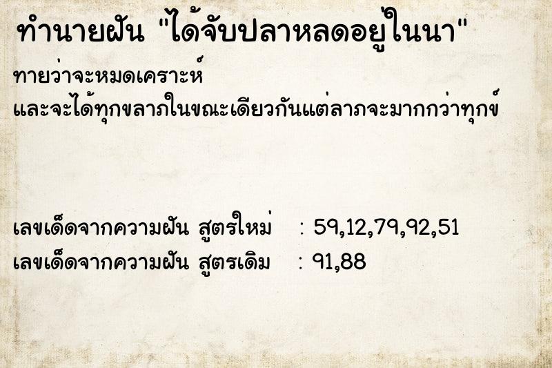 ทำนายฝันทำนายฝันได้จับปลาหลดอยู่ในนา