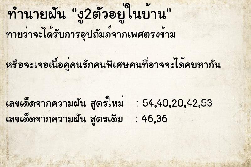 ทำนายฝัน งู2ตัวอยู่ในบ้าน ตำราโบราณ แม่นที่สุดในโลก