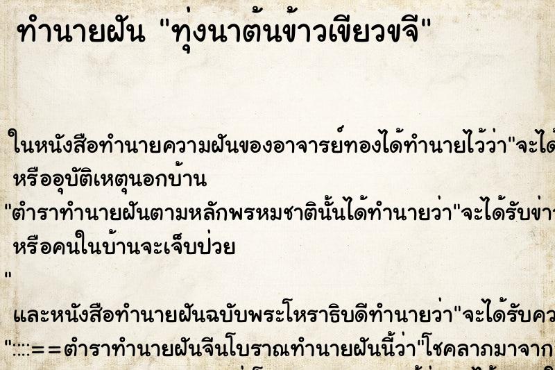 ทำนายฝัน ทุ่งนาต้นข้าวเขียวขจี ทำนายฝัน ทุ่งนาต้นข้าวเขียวขจี