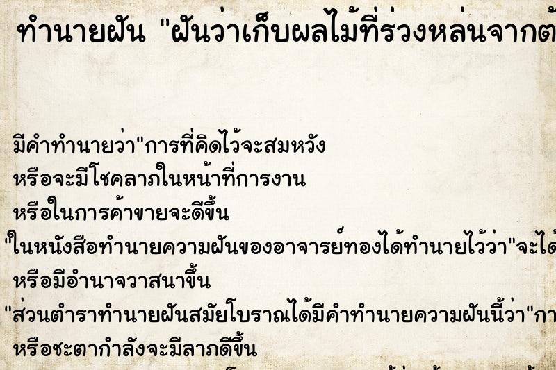 ทำนายฝัน ฝันว่าเก็บผลไม้ที่ร่วงหล่นจากต้น ทำนายฝัน ฝันว่าเก็บผลไม้ที่ร่วงหล่นจากต้น