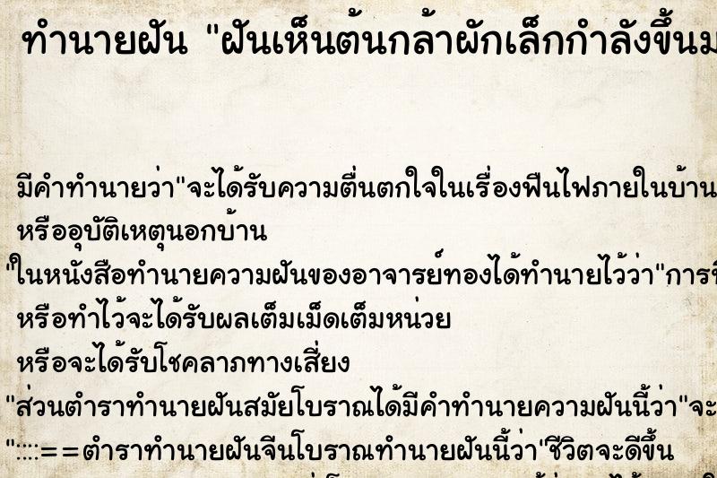 ทำนายฝัน ฝันเห็นต้นกล้าผักเล็กกำลังขึ้นมากมาย ตำราโบราณ แม่นที่สุดในโลก