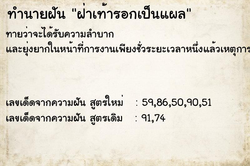 ทำนายฝันฝ่าเท้ารอกเป็นแผล ทำนายฝันทำนายฝันฝ่าเท้ารอกเป็นแผล