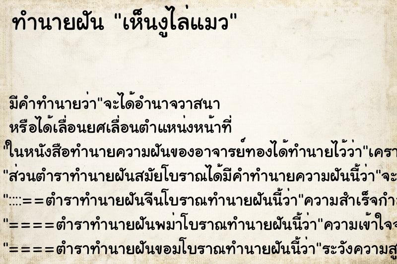 ทำนายฝันเห็นงูไล่แมว ทำนายฝันทำนายฝันเห็นงูไล่แมว