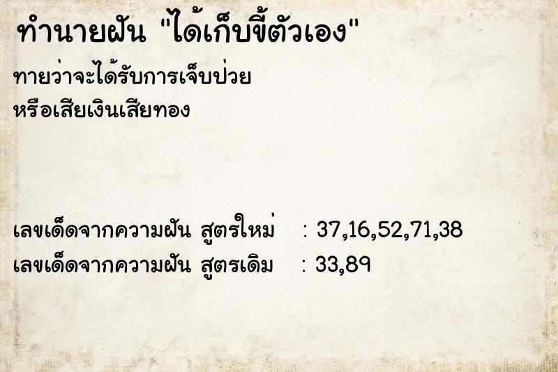 ทำนายฝัน ได้เก็บขี้ตัวเอง ตำราโบราณ แม่นที่สุดในโลก