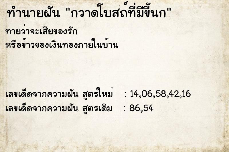 ทำนายฝัน กวาดโบสถ์ที่มีขี้นก ทำนายฝัน กวาดโบสถ์ที่มีขี้นก