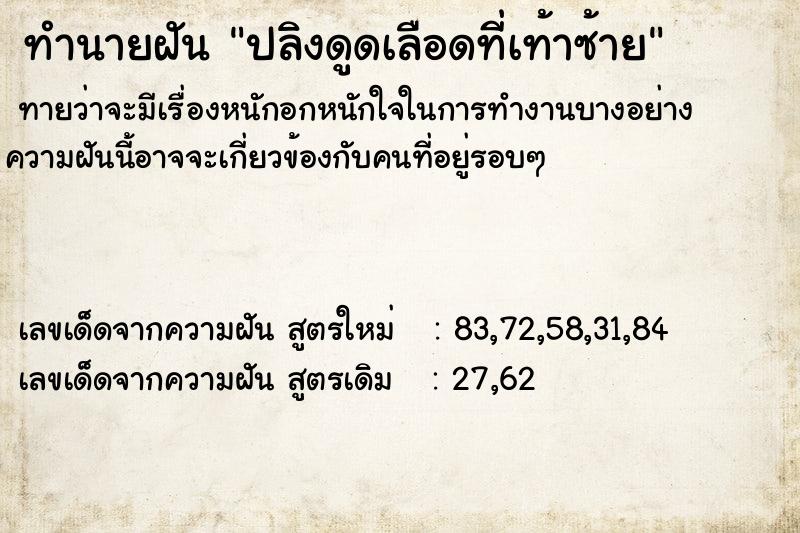ทำนายฝัน ปลิงดูดเลือดที่เท้าซ้าย