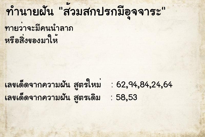 ทำนายฝันส้วมสกปรกมีอุจจาระ ทำนายฝันทำนายฝันส้วมสกปรกมีอุจจาระ