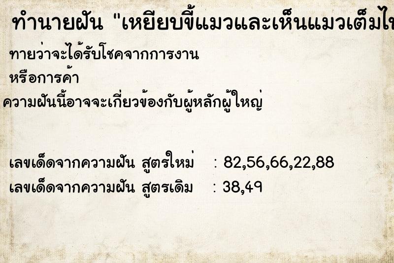 ทำนายฝันเหยียบขี้แมวและเห็นแมวเต็มไปหมด ทำนายฝันทำนายฝันเหยียบขี้แมวและเห็นแมวเต็มไปหมด