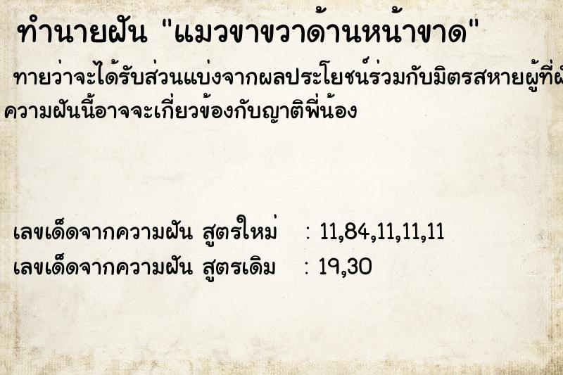 ทำนายฝันแมวขาขวาด้านหน้าขาด ทำนายฝันทำนายฝันแมวขาขวาด้านหน้าขาด