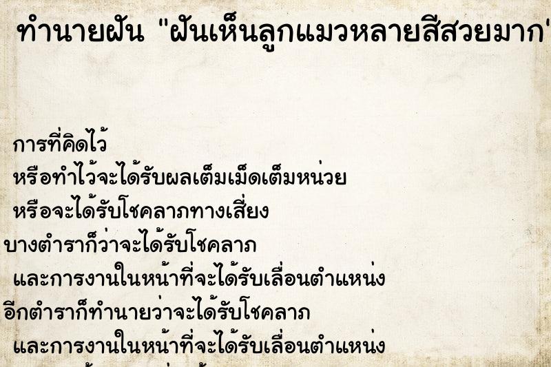 ทำนายฝันทำนายฝันฝันเห็นลูกแมวหลายสีสวยมาก