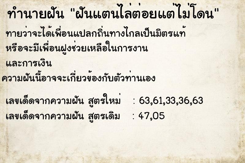 ทำนายฝันฝันแตนไล่ต่อยแต่ไม่โดน ทำนายฝันทำนายฝันฝันแตนไล่ต่อยแต่ไม่โดน