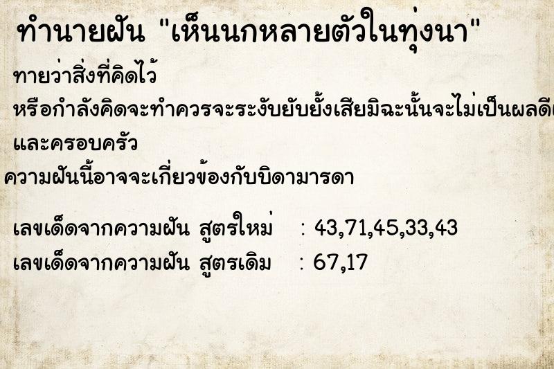 ทำนายฝันทำนายฝันเห็นนกหลายตัวในทุ่งนา