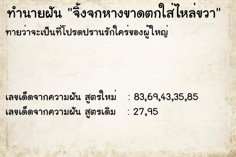 ทำนายฝันจิ้งจกหางขาดตกใส่ไหล่ขวา ทำนายฝันทำนายฝันจิ้งจกหางขาดตกใส่ไหล่ขวา