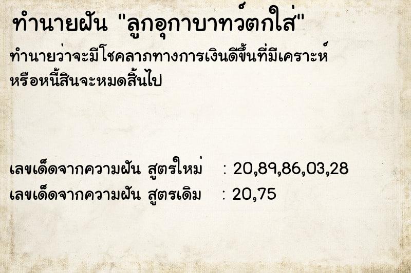ทำนายฝันลูกอุกาบาทว์ตกใส่ ทำนายฝันทำนายฝันลูกอุกาบาทว์ตกใส่