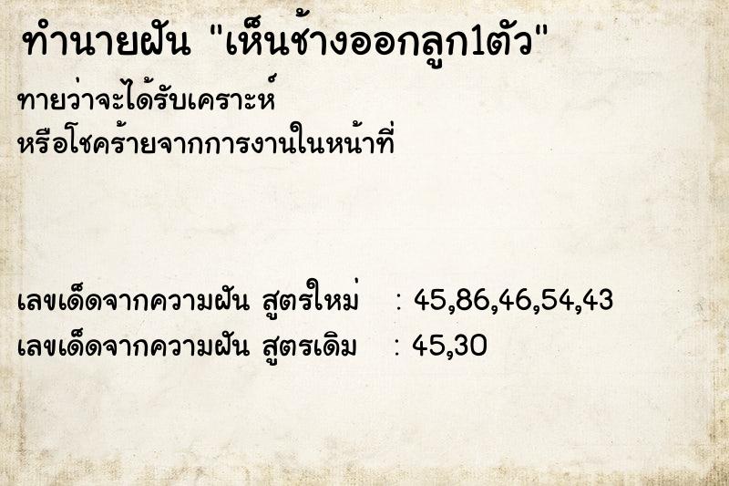 ทำนายฝัน เห็นช้างออกลูก1ตัว ทำนายฝัน เห็นช้างออกลูก1ตัว