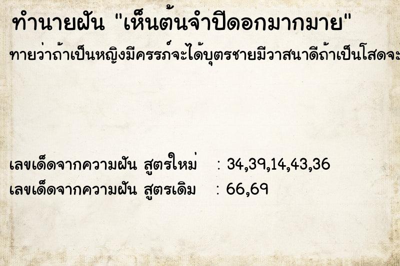 ทำนายฝันทำนายฝันเห็นต้นจำปีดอกมากมาย