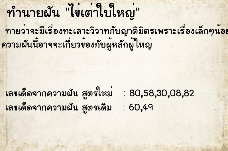 ทำนายฝัน ไข่เต่าใบใหญ่ ทำนายฝัน ไข่เต่าใบใหญ่