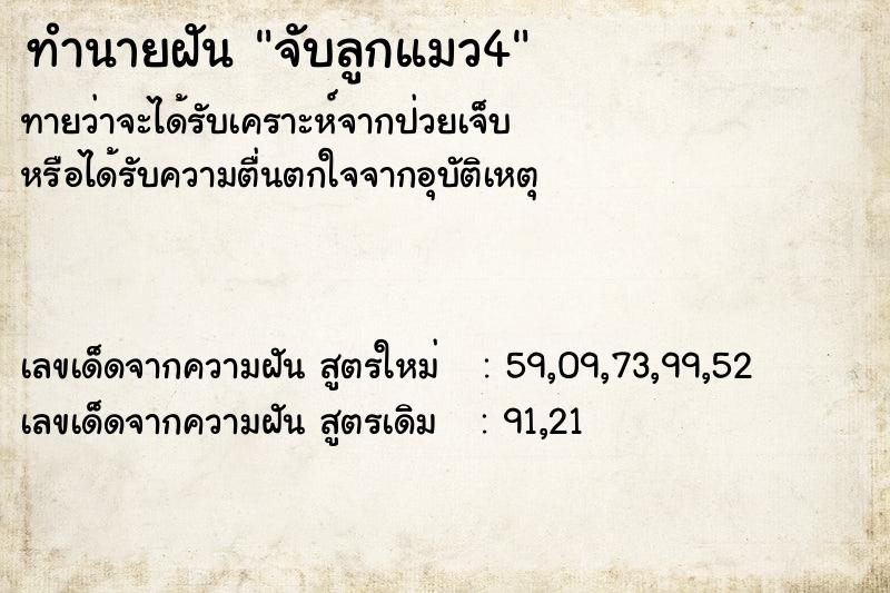 ทำนายฝันทำนายฝันจับลูกแมว4