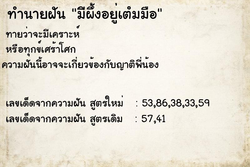 ทำนายฝันทำนายฝันมีีีผึ้งอยู่เตํมมือ