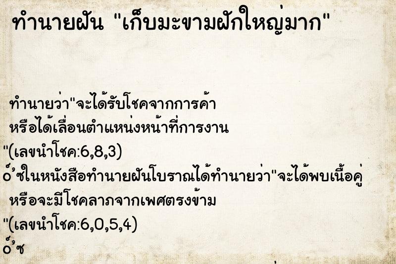 ทำนายฝันทำนายฝันเก็บมะขามฝักใหญ่มาก