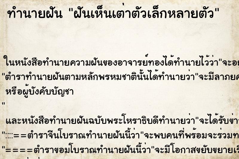 ทำนายฝันทำนายฝันฝันเห็นเต่าตัวเล็กหลายตัว