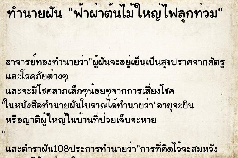 ทำนายฝัน ฟ้าผ่าต้นไม้ใหญ่ไฟลุกท่วม ทำนายฝัน ฟ้าผ่าต้นไม้ใหญ่ไฟลุกท่วม