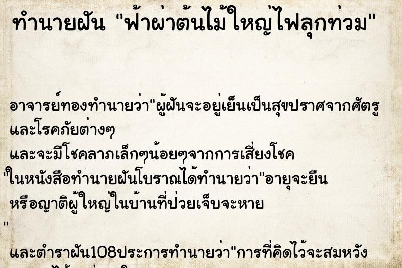 ทำนายฝัน ฟ้าผ่าต้นไม้ใหญ่ไฟลุกท่วม ตำราโบราณ แม่นที่สุดในโลก