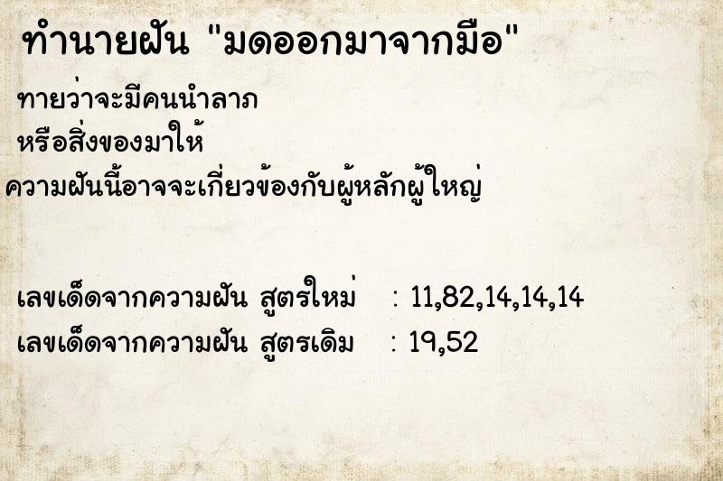 ทำนายฝันทำนายฝันมดออกมาจากมือ