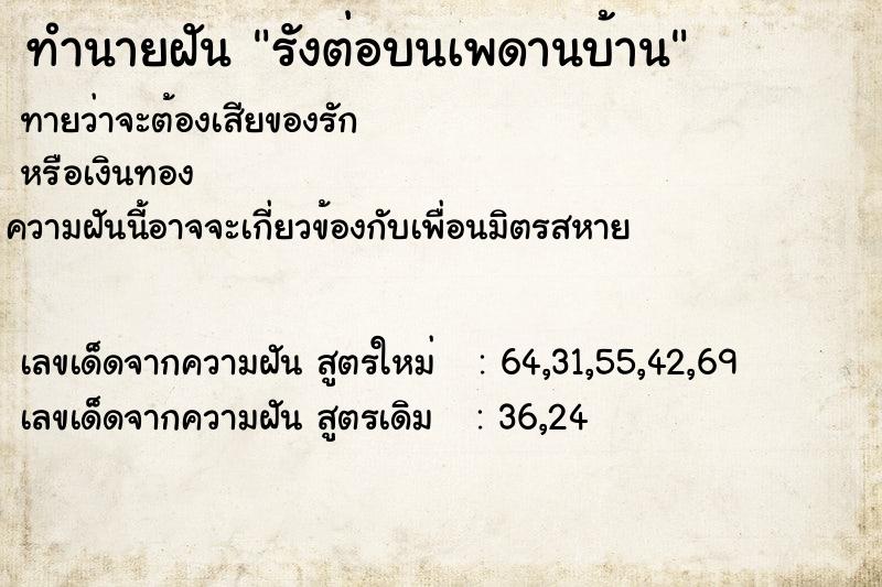 ทำนายฝันรังต่อบนเพดานบ้าน ทำนายฝันทำนายฝันรังต่อบนเพดานบ้าน