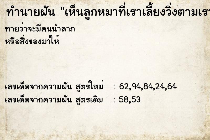 ทำนายฝันเห็นลูกหมาที่เราเลี้ยงวิ่งตามเรา ทำนายฝันทำนายฝันเห็นลูกหมาที่เราเลี้ยงวิ่งตามเรา