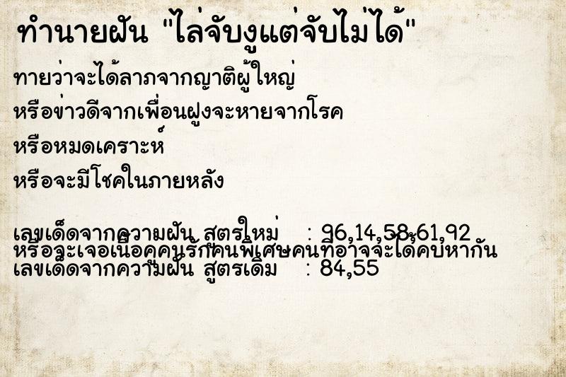 ทำนายฝัน ไล่จับงูแต่จับไม่ได้ ทำนายฝัน ไล่จับงูแต่จับไม่ได้