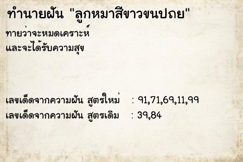 ทำนายฝันลูกหมาสีขาวขนปถย ทำนายฝันทำนายฝันลูกหมาสีขาวขนปถย