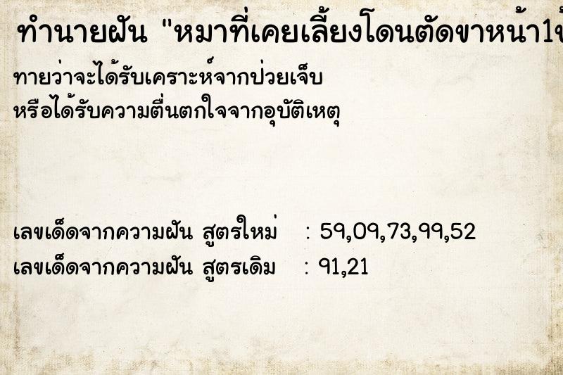 ทำนายฝันหมาที่เคยเลี้ยงโดนตัดขาหน้า1ข้างขาหลังขาด1ข้าง ทำนายฝันทำนายฝันหมาที่เคยเลี้ยงโดนตัดขาหน้า1ข้างขาหลังขาด1ข้าง