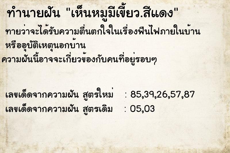 ทำนายฝันเห็นหมูมีเขี้ยว.สีแดง ทำนายฝันทำนายฝันเห็นหมูมีเขี้ยว.สีแดง