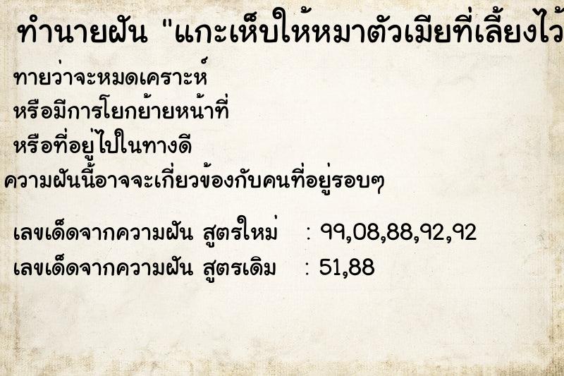 ทำนายฝันแกะเห็บให้หมาตัวเมียที่เลี้ยงไว้ ทำนายฝันทำนายฝันแกะเห็บให้หมาตัวเมียที่เลี้ยงไว้