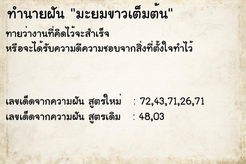 ทำนายฝันมะยมขาวเต็มต้น ทำนายฝันทำนายฝันมะยมขาวเต็มต้น