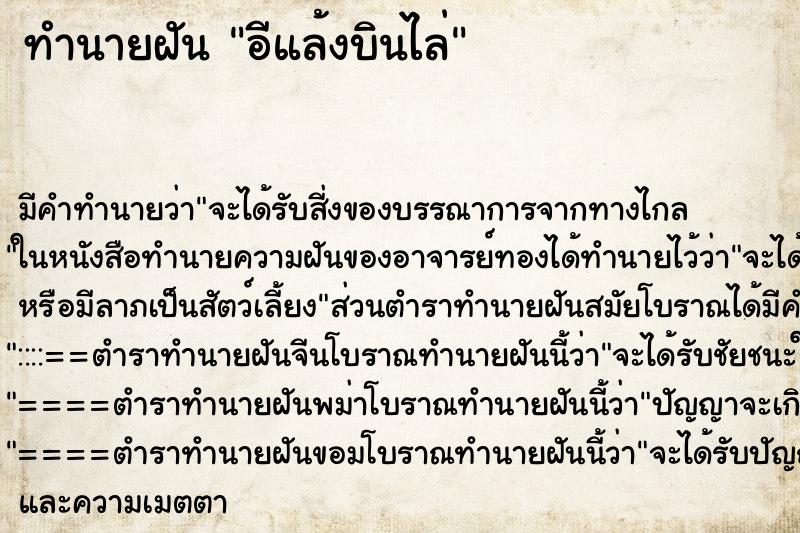 ทำนายฝัน อีแล้งบินไล่ ทำนายฝัน อีแล้งบินไล่