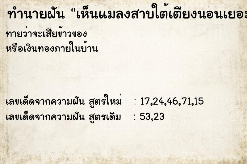 ทำนายฝันเห็นแมลงสาบใต้เตียงนอนเยอะมาก ทำนายฝันทำนายฝันเห็นแมลงสาบใต้เตียงนอนเยอะมาก