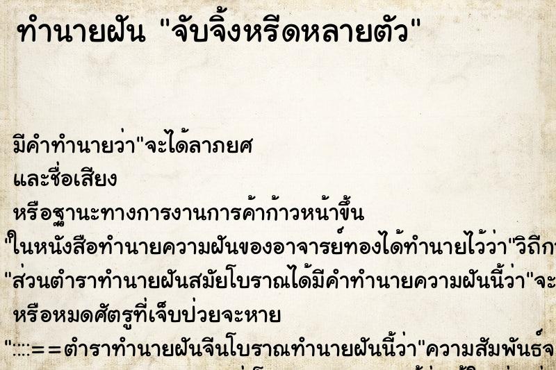 ทำนายฝัน จับจิ้งหรีดหลายตัว ทำนายฝัน จับจิ้งหรีดหลายตัว