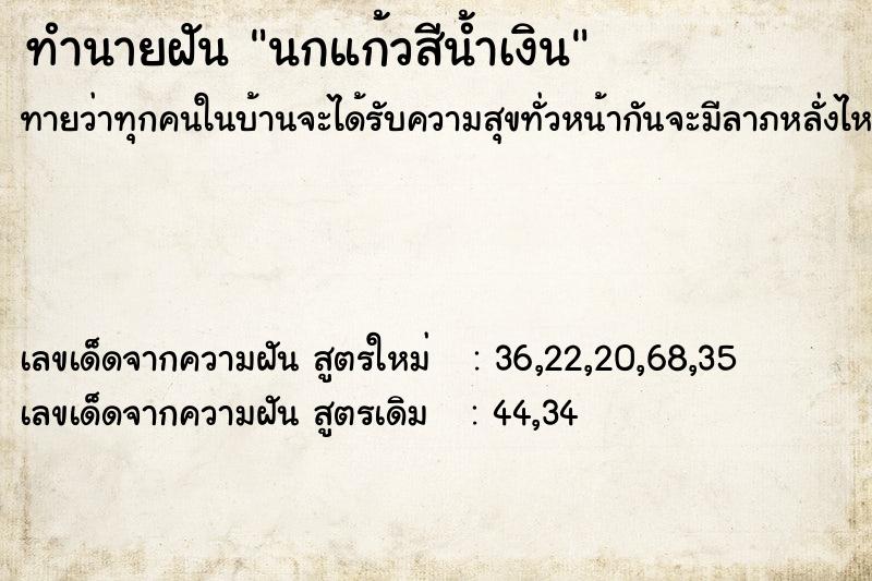 ทำนายฝัน นกแก้วสีน้ำเงิน ทำนายฝัน นกแก้วสีน้ำเงิน