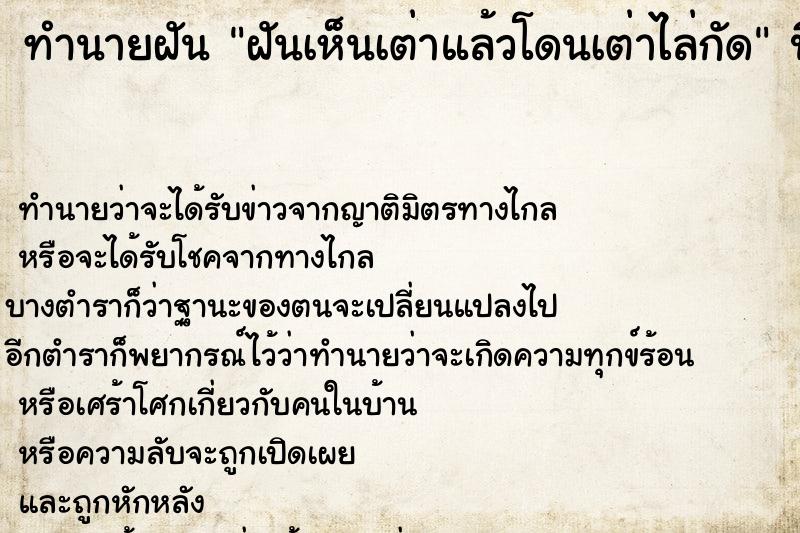 ทำนายฝันฝันเห็นเต่าแล้วโดนเต่าไล่กัด ทำนายฝันทำนายฝันฝันเห็นเต่าแล้วโดนเต่าไล่กัด
