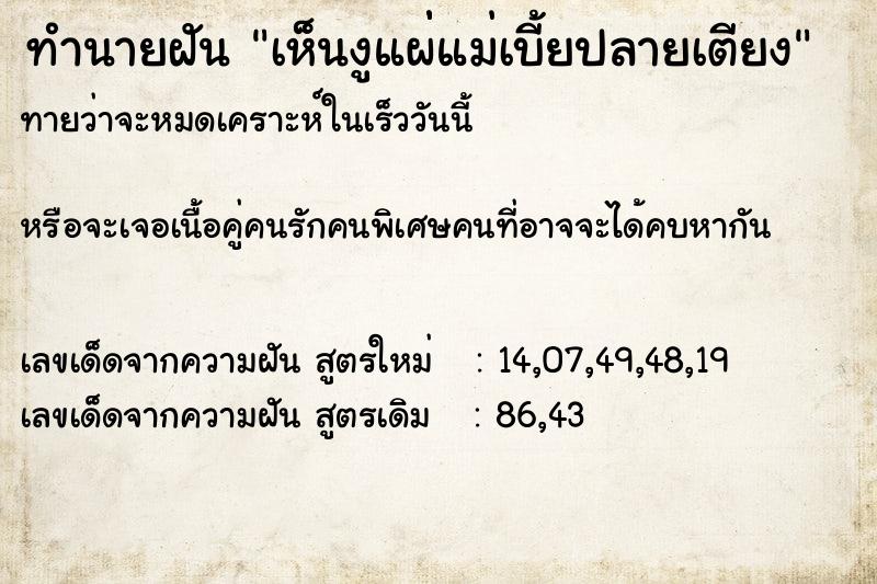 ทำนายฝัน เห็นงูแผ่่แม่เบี้ยปลายเตียง ทำนายฝัน เห็นงูแผ่่แม่เบี้ยปลายเตียง