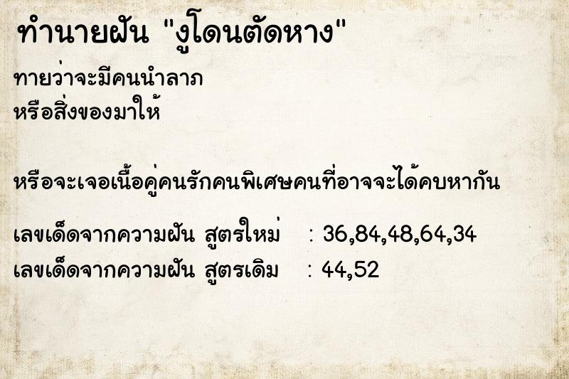 ทำนายฝันงูโดนตัดหาง ทำนายฝันทำนายฝันงูโดนตัดหาง