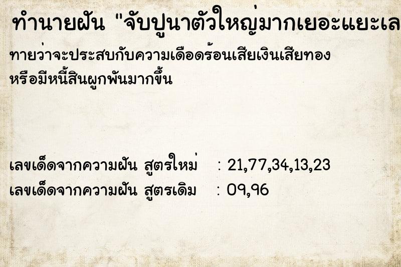 ทำนายฝันจับปูนาตัวใหญ่มากเยอะแยะเลย ทำนายฝันทำนายฝันจับปูนาตัวใหญ่มากเยอะแยะเลย