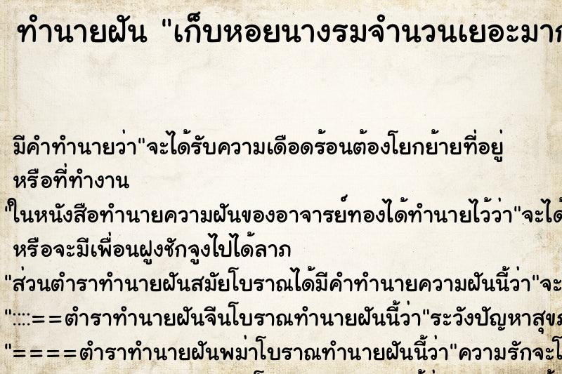 ทำนายฝัน เก็บหอยนางรมจำนวนเยอะมาก ทำนายฝัน เก็บหอยนางรมจำนวนเยอะมาก