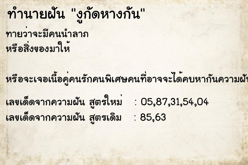 ทำนายฝัน งูกัดหางกัน ทำนายฝัน งูกัดหางกัน