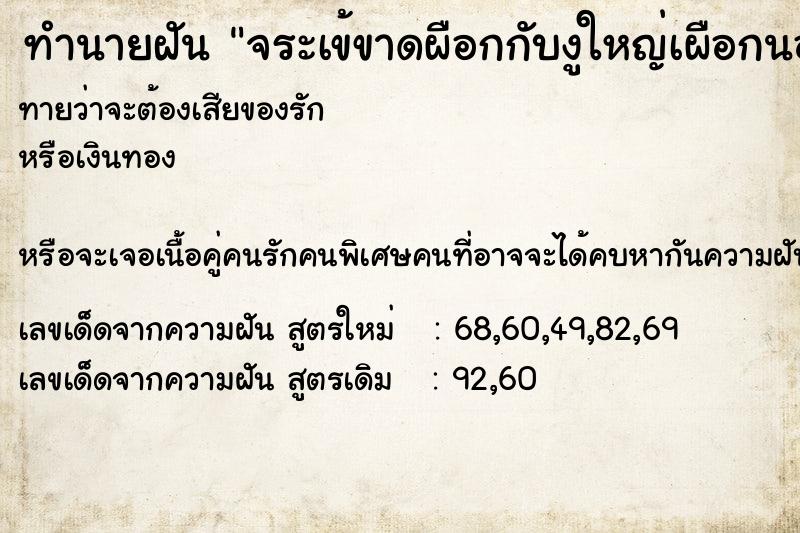 ทำนายฝันจระเข้ขาดผือกกับงูใหญ่เผือกนอนเล่นน้ำ ทำนายฝันทำนายฝันจระเข้ขาดผือกกับงูใหญ่เผือกนอนเล่นน้ำ