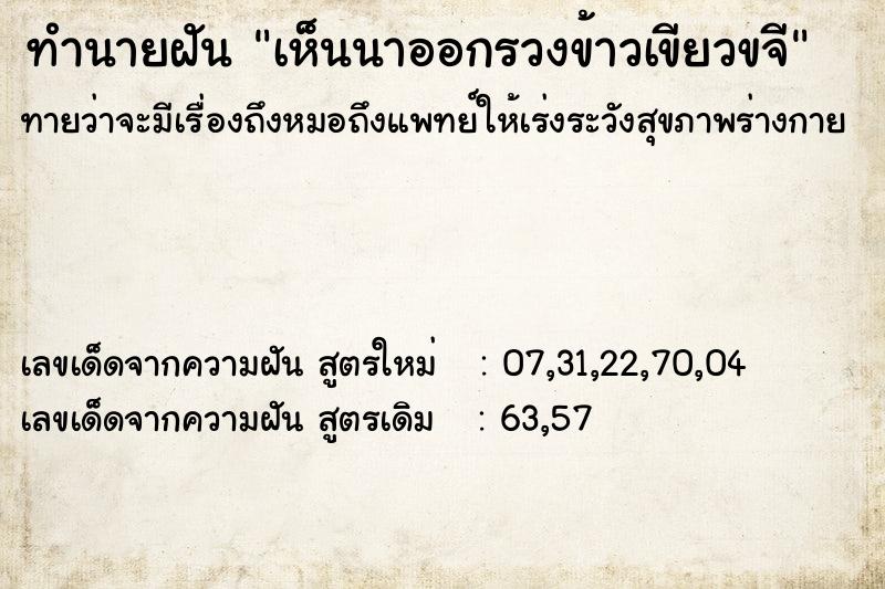 ทำนายฝันทำนายฝันเห็นนาออกรวงข้าวเขียวขจี